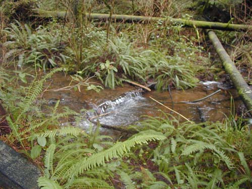 P3270087