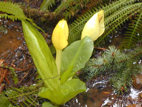 P3270090