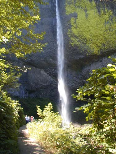 P7290029