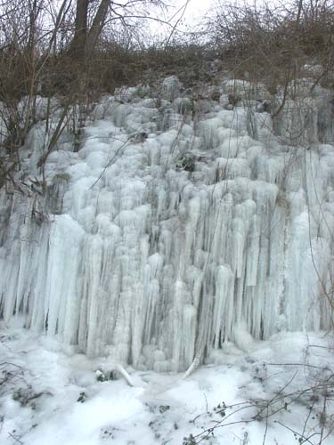 PICT0024