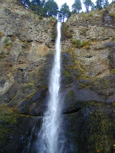 mfalls